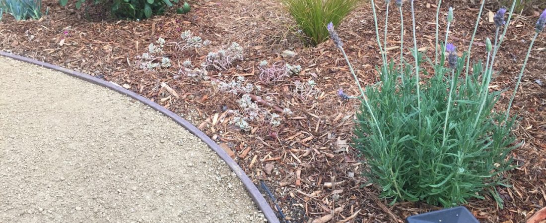 mulch and plants low maintenance landscaping